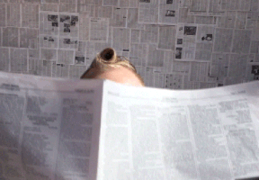 jeremiahjw news good print newspaper GIF