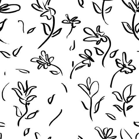 black and white flowers GIF by Denyse