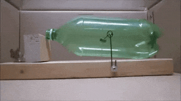 hadat  GIF