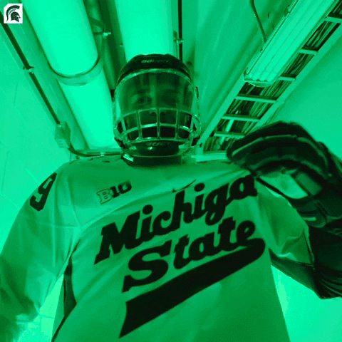 Msu Spartans GIF by Michigan State Athletics