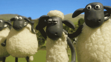 Well Done Olympics GIF by Aardman Animations