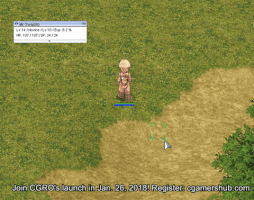 Ragnarok Online GIF