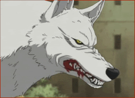 Fiver_Bunny anime wolfs rain tsume GIF