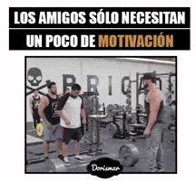 aliciavargascontreras  GIF
