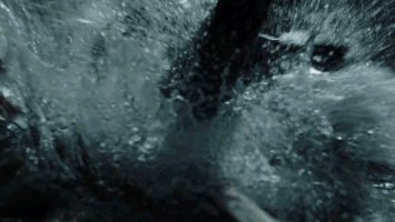 Meichancule #gintama #gintamaliveaction GIF