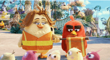 crossing the angry birds movie GIF by Angry Birds