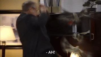 200.gif?cid=fc005b08435ba1d1e8766087d4c9085f5efdd3c261d0e652&rid=200.gif&ct=g