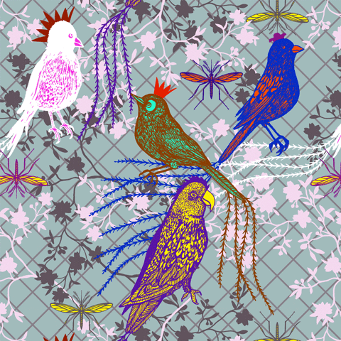 michaelcailloux bird birds zoo michaelcailloux GIF