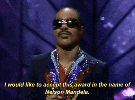 stevie wonder i would like to accept this award in the name of nelson mandela GIF by The Academy Awards