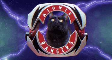 black cat GIF by Power Rangers