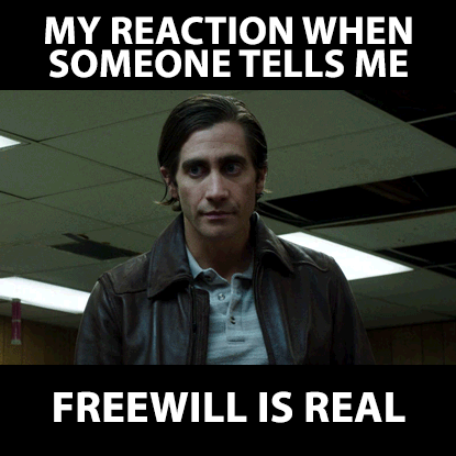 jasonriethmann sarcasm jake gyllenhaal freewill GIF