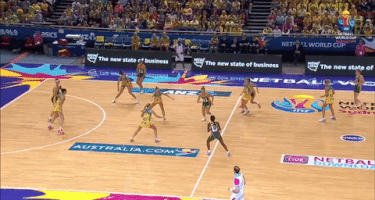 netball  GIF