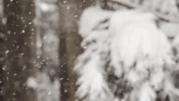 rudyensueno snow GIF