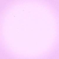 spin rotate GIF by Erica Anderson