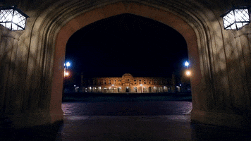 chinese new year fireworks GIF by Washington University in St. Louis