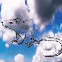 Illustration Sky GIF by James Guthman