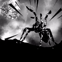 black and white spider GIF by James Guthman