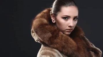 benoitvandenbroeck animal rights bont bontkraag dierenleed GIF