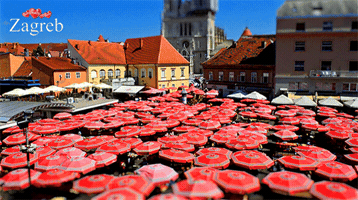 zagrebtourist market zagreb dolac GIF
