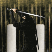 Ninja Lol GIF by Justin Gammon