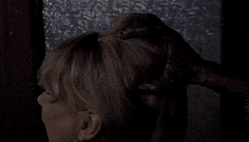 lucio fulci horror GIF by Shudder