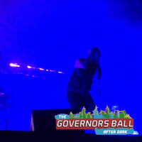 the strokes governors ball GIF by GOVBALL NYC