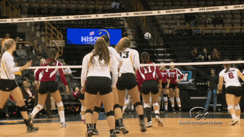 volleyball vb GIF by University of Iowa Hawkeyes Athletics