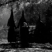 american horror story witches GIF by foxhorror