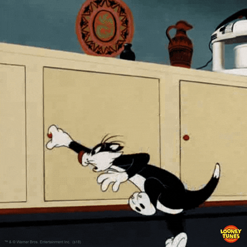 Sylvester GIFs - Get the best GIF on GIPHY