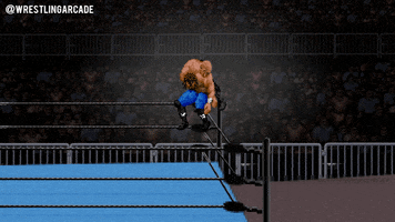 wrestlingarcade  GIF