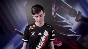 Oh No Facepalm GIF by G2 Esports