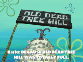 200.gif?cid=fc005b08c864432020e8c175bc92cb4894dbf30256365077&rid=200.gif&ct=g