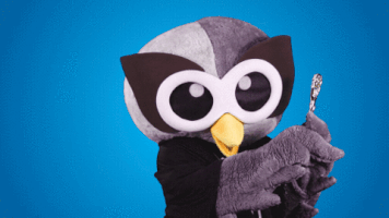 the best win GIF by Hootsuite