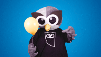 Happy Party GIF by Hootsuite