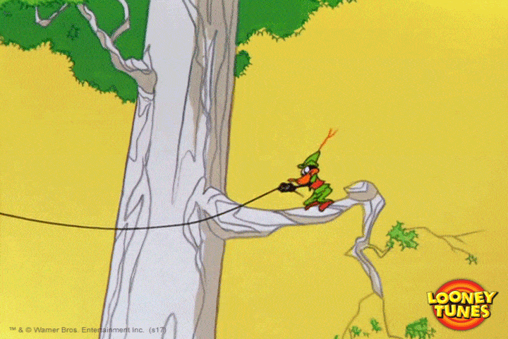 Fail Robin Hood GIF by Looney Tunes
