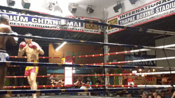 liliamfernandes  GIF