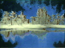 winter trees GIF by Royal Smith