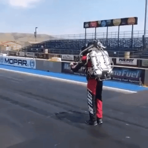 dejavuhu  GIF