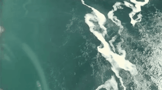 GJEPgifs gross niagara falls sewage black water GIF