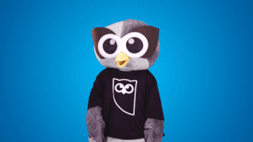 Look Down GIF by Hootsuite