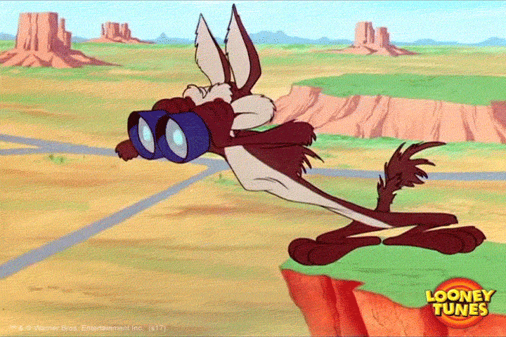confused wile e coyote GIF by Looney Tunes (GIF Image)