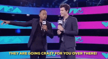 they are going crazy for you over there shawn mendes GIF by 2017 MTV Video Music Awards