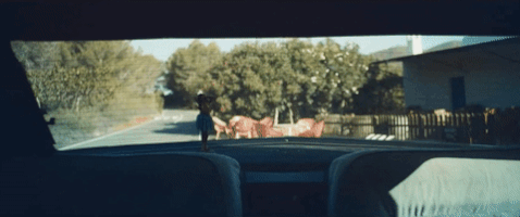 200.gif?cid=fc005b08d0c5ec0f8cb302a29bbd7ece3d3b163f3258a06e&rid=200.gif&ct=g