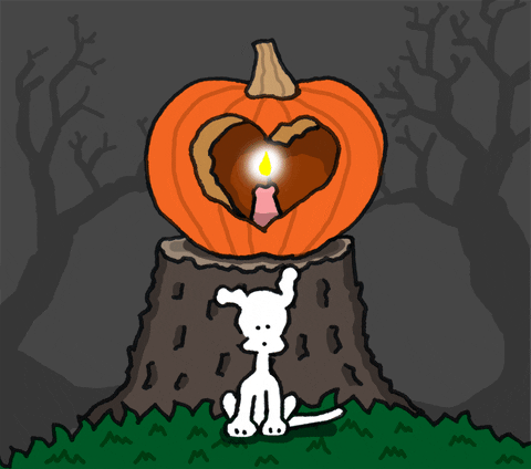 Jack-O-Lantern Love GIF by Chippy the Dog - Find & Share on GIPHY