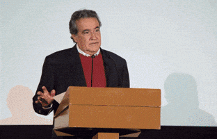 Mica_Dia1 GIF