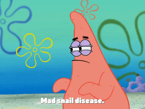 spongebob mad snail disease