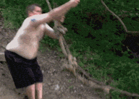 rope swing lol GIF by America's Funniest Home Videos