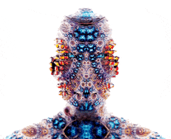 amyoxmx portrait fractal GIF