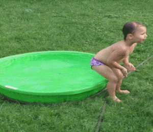 Free-funny GIFs - Get the best GIF on GIPHY