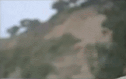 vitorhugo  GIF